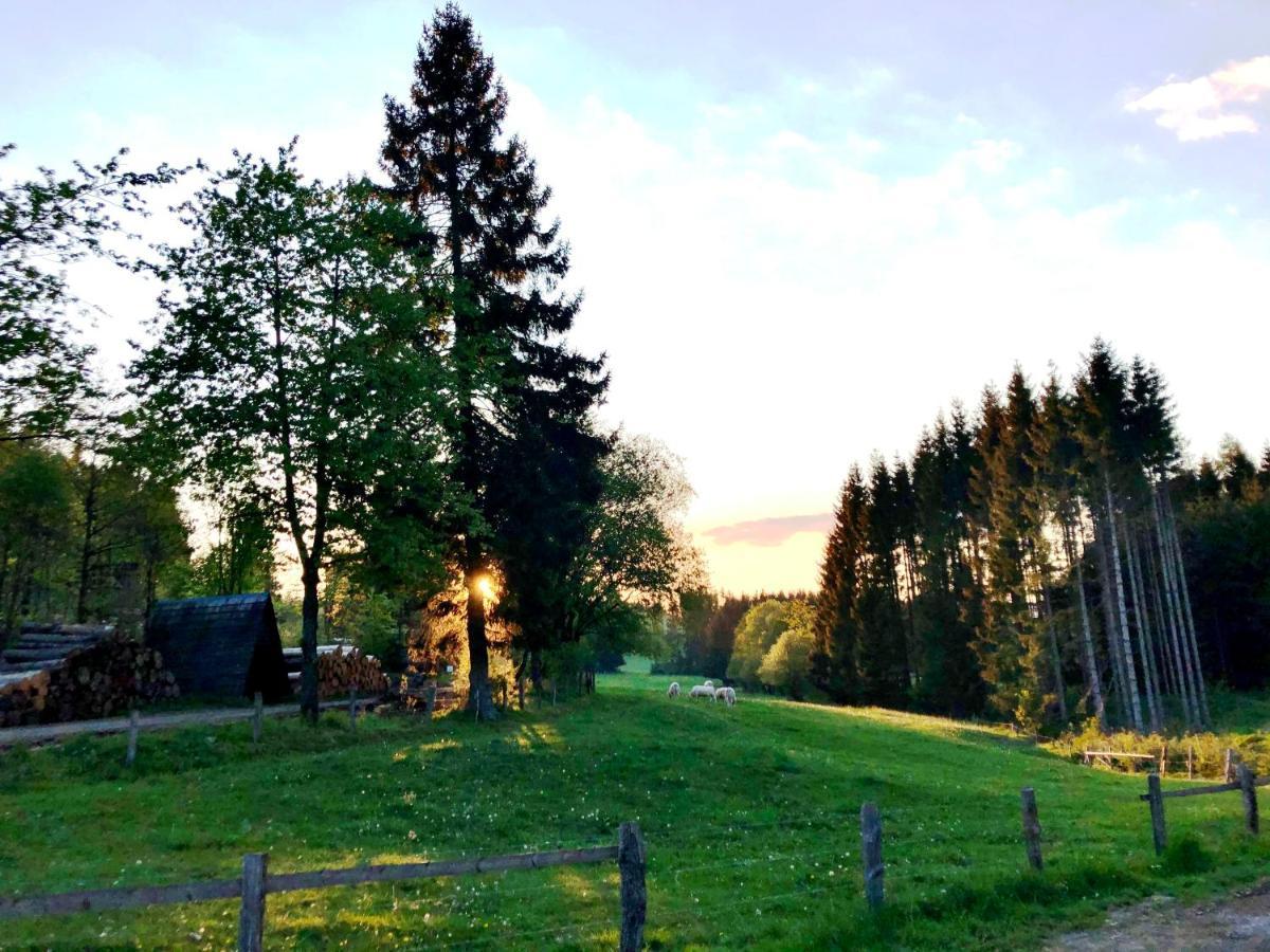 Hotel Zur Post Brilon Dış mekan fotoğraf